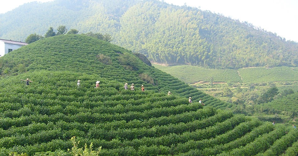 基地風(fēng)采