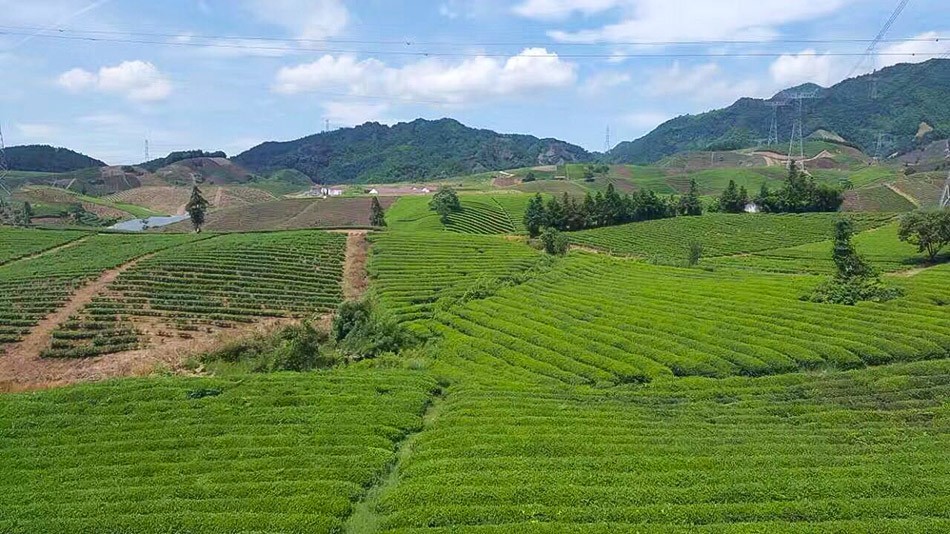 基地風(fēng)采