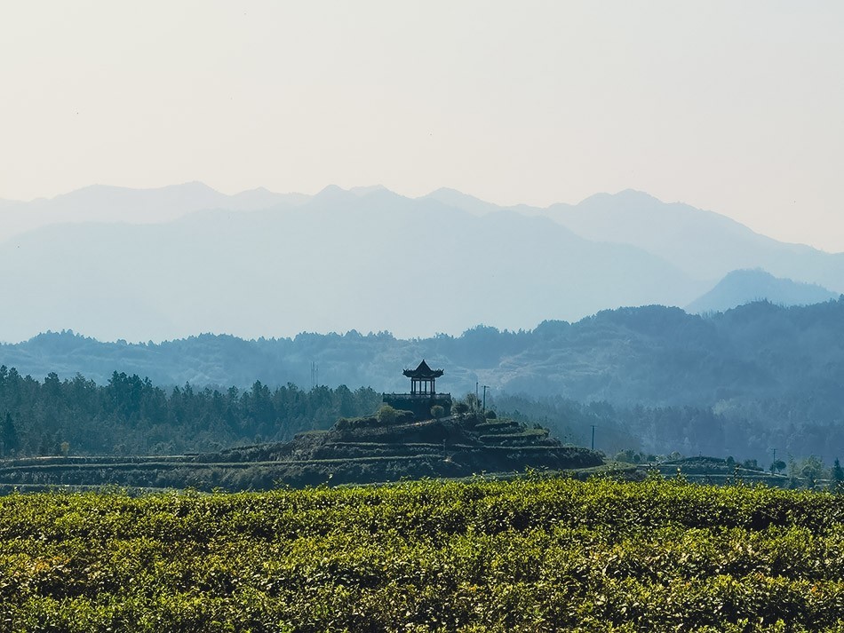 基地風(fēng)采